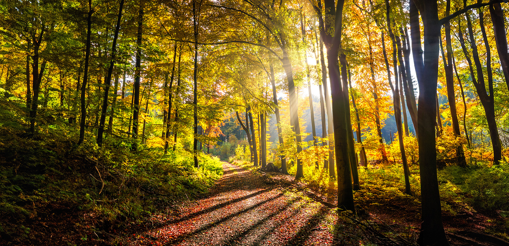 fotozin licht und schatten